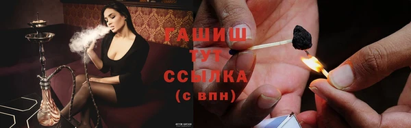 дмт Алзамай