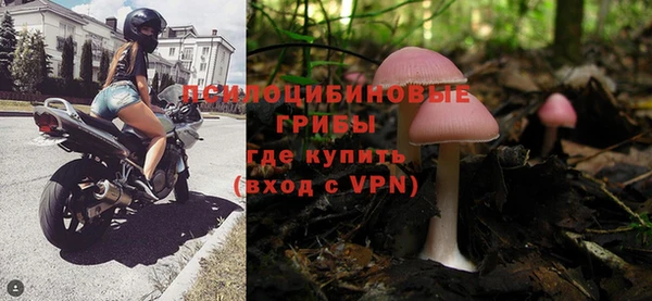 дмт Алзамай